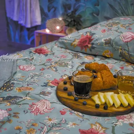 Appartement Tropicoon Jacuzzi Centre Parking Free Mulhouse