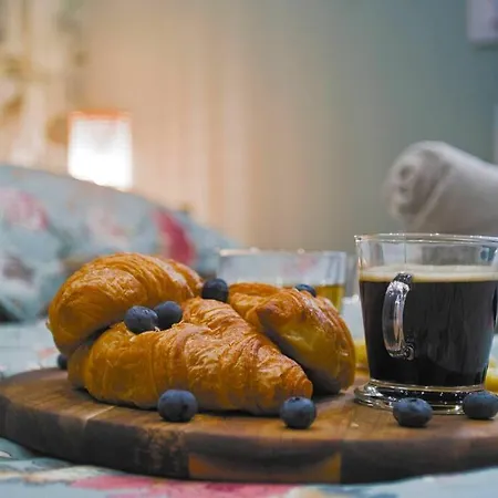 Appartamento Tropicoon Jacuzzi Centre Parking Free *