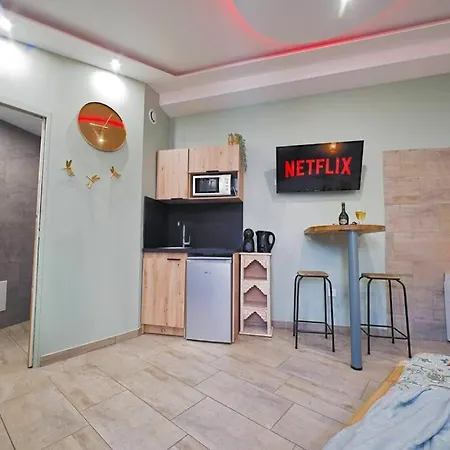 Tropicoon Jacuzzi Centre Parking Free Apartment Mulhouse