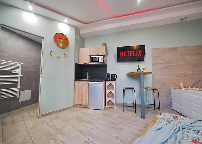 Tropicoon Jacuzzi Centre Parking Free Appartement Mulhouse